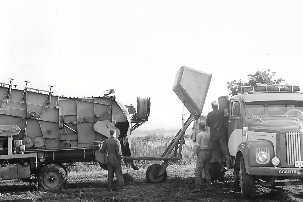 Ärtskörd 50-60-tal